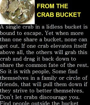 Cognitive Fortresses: Human Crabs and Self-Imposed Buckets