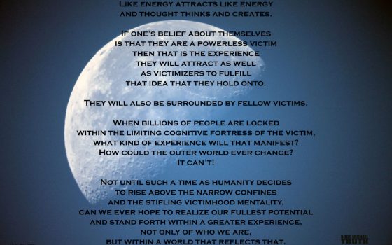Navigating the Tides of Consciousness
