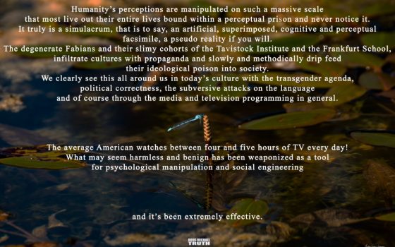 Marxist Subversion of Western Culture