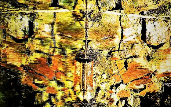 Entheogens, Ego, Consciousness and the Self